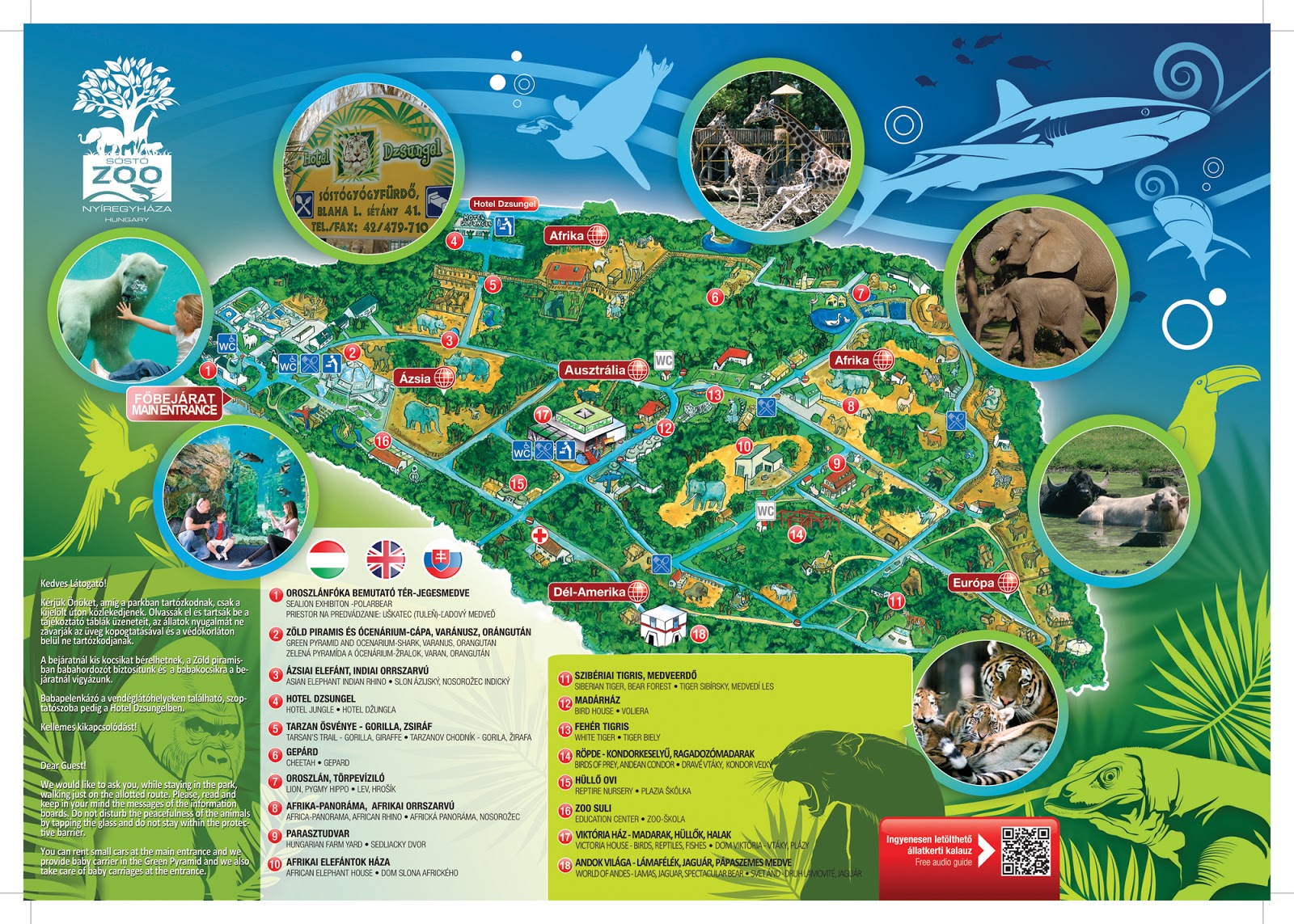 Excursie la parcul zoo de la Nyiregyhaza - SejurIeftin.com